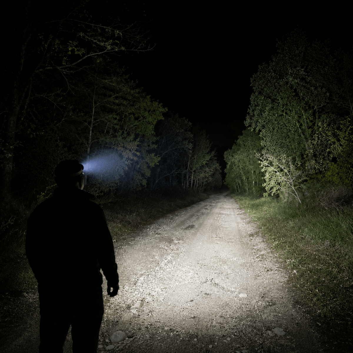 Hiking Camping rechargeable LED headlamp with motion sensor waterproof
